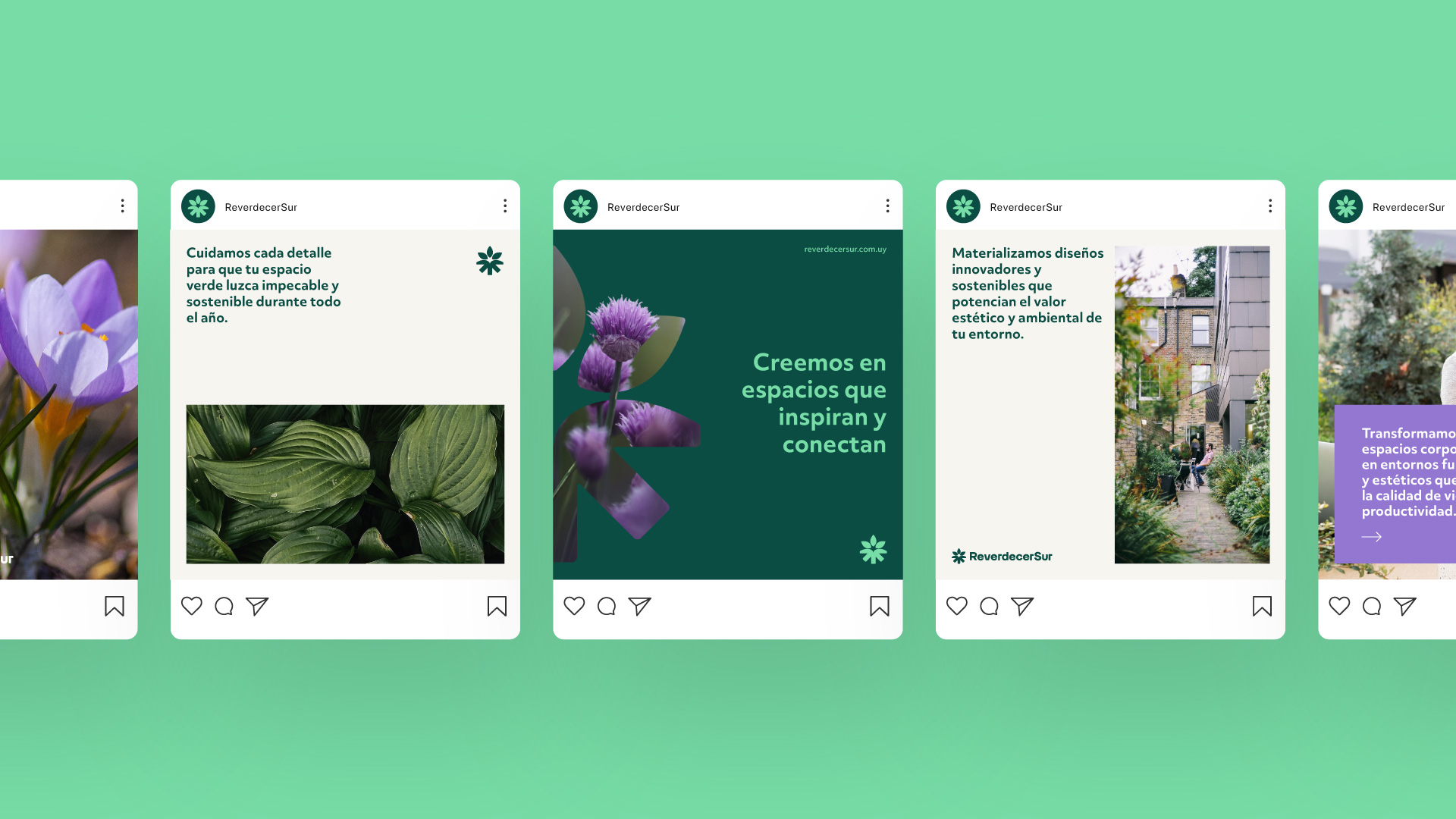 Diseño de publicaciones para redes sociales de ReverdecerSur siguiendo el nuevo sistema gráfico.