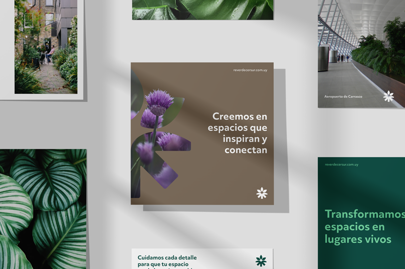 Diseño de publicaciones para redes sociales de ReverdecerSur siguiendo el nuevo sistema gráfico.