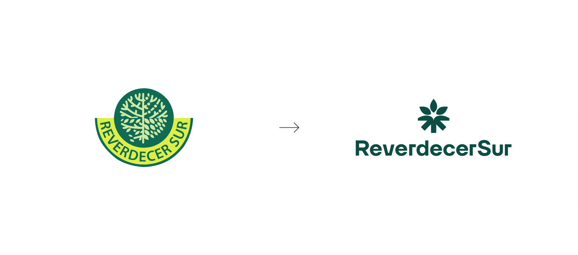 Rediseño del logotipo de ReverdecerSur mostrando la evolución hacia una imagen más profesional y corporativa.