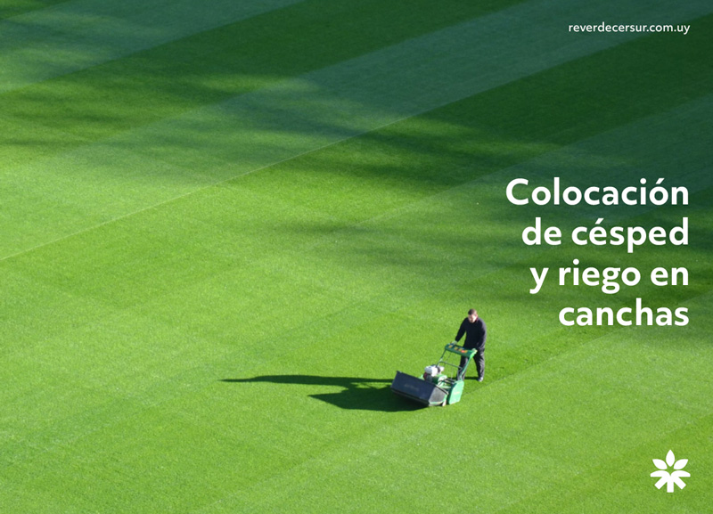 Muestra de material promocional de ReverdecerSur con la nueva identidad visual.